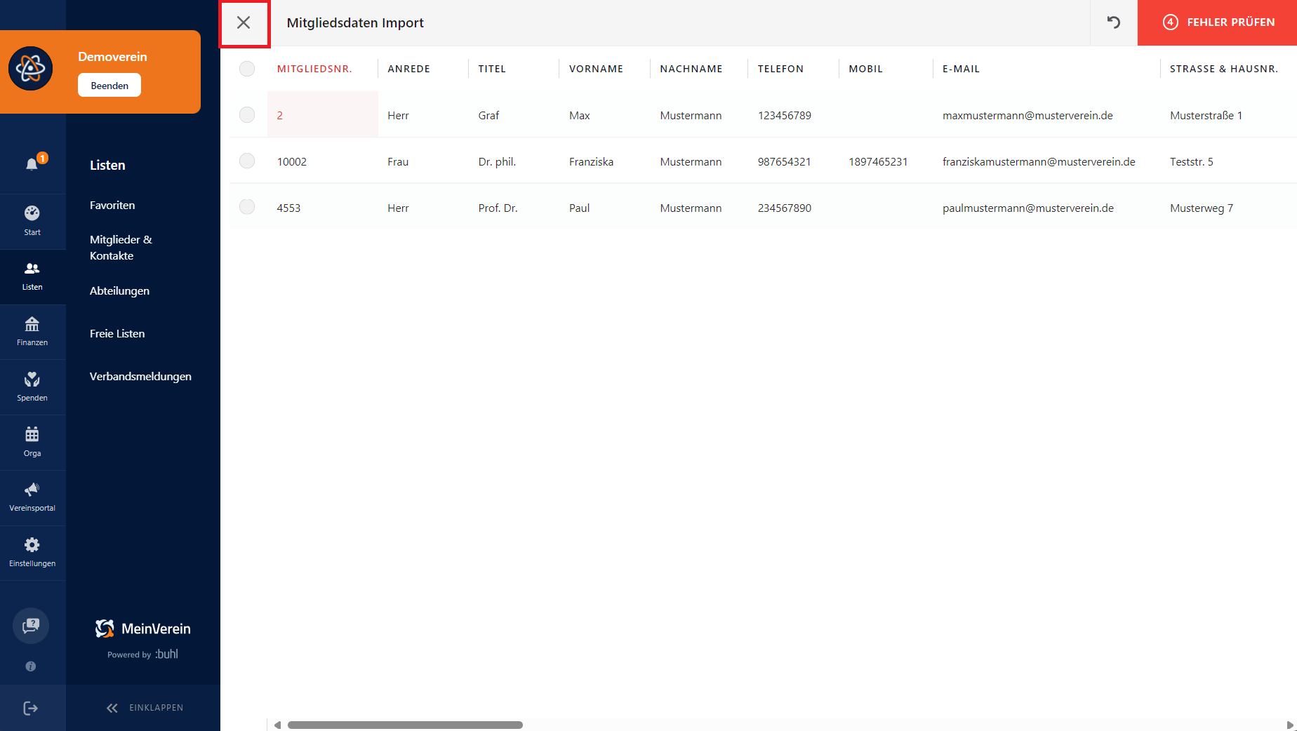 Übersicht über die importierten Mitglieder und gefundene Fehler
